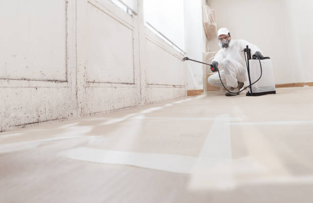 24/7 Emergency Attic Mold Remediation experts in Lemoyne, PA